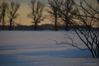 /album/%e3%83%95%e3%82%a9%e3%83%88%e3%82%ae%e3%83%a3%e3%83%a9%e3%83%aa%e3%83%bc/%e5%86%ac%e3%81%ae%e6%83%85%e6%99%af%e3%80%80%ef%bd%9e%e3%82%82%e3%81%ae%e8%a8%80%e3%81%86%e9%9b%aa%e3%81%ae%e4%b8%ad%e3%81%ae%e6%9c%a8%e3%80%85%e3%81%9f%e3%81%a1%ef%bd%9e-jpg/